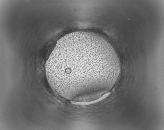 X0000078021349200611251519