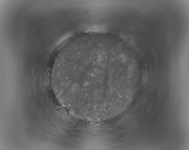 X0000078021350200611251519