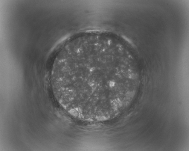 X0000078021351200611251519