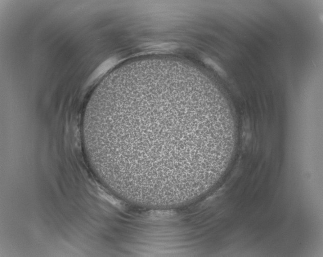 X0000078021354200611251519