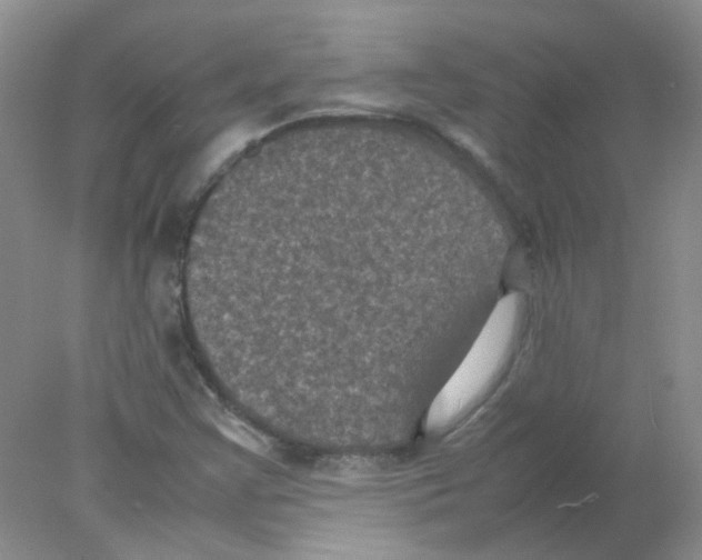 X0000078021355200611251519