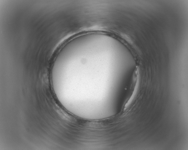 X0000078021356200611251519