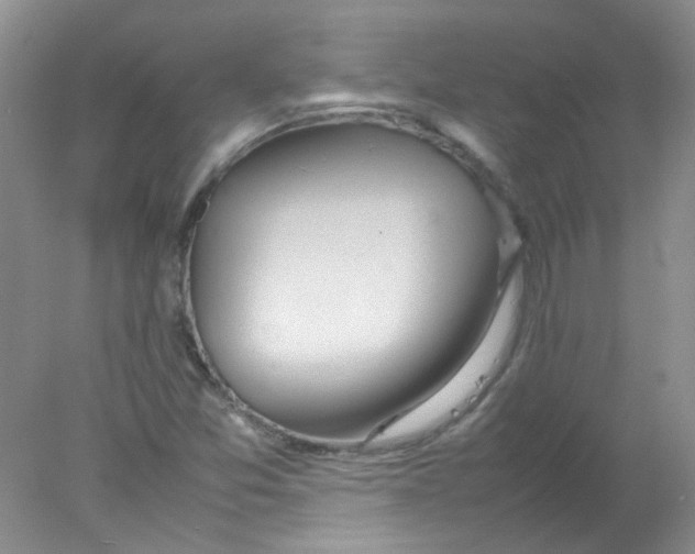 X0000078021357200611251519