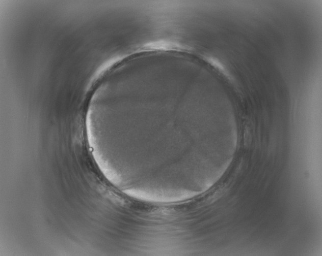 X0000078021358200611251519