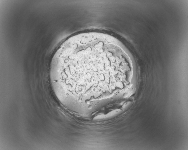 X0000078021359200611251519