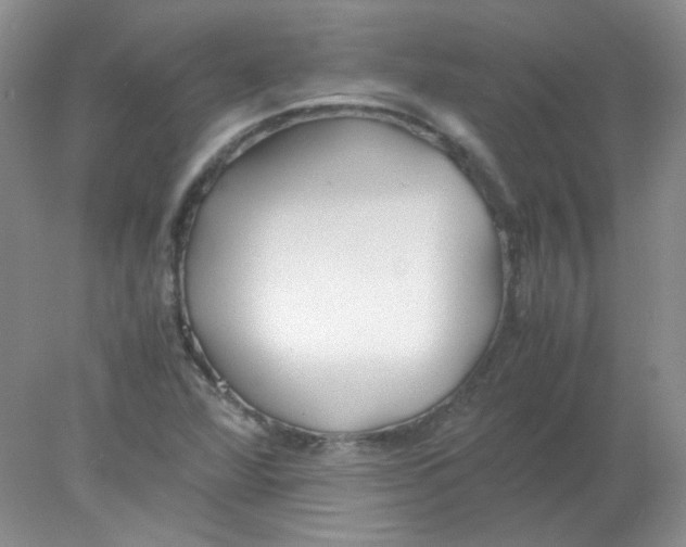 X0000078021360200611251519