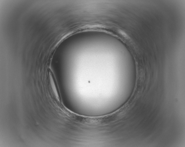 X0000078021361200611251519