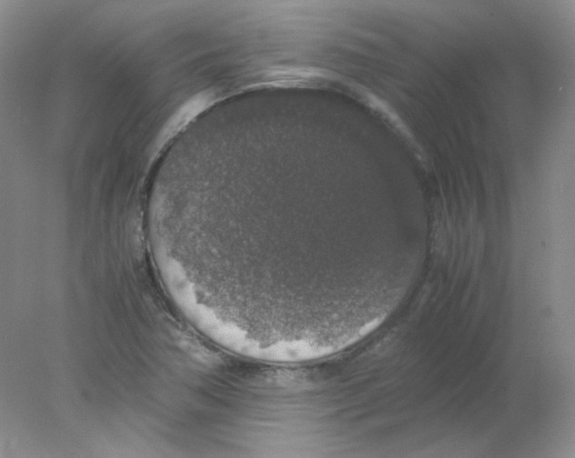 X0000078021362200611251519