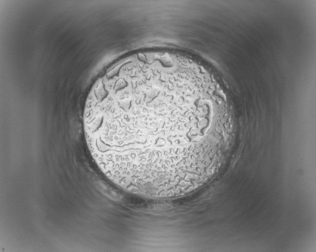 X0000078021363200611251519