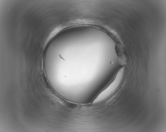 X0000078021365200611251519