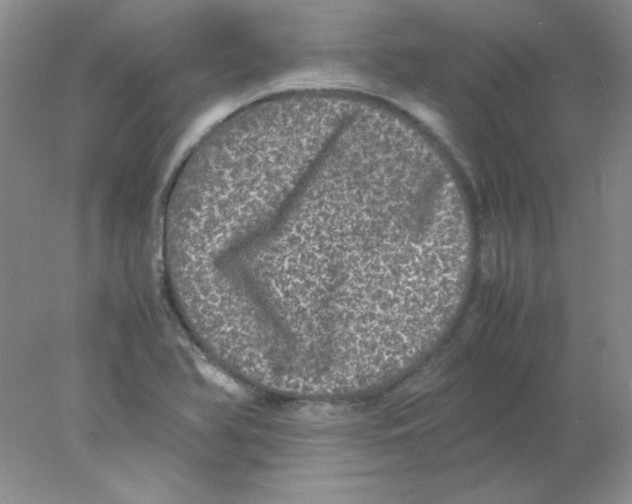 X0000078021366200611251519