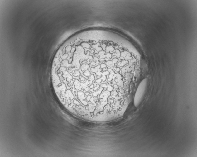 X0000078021367200611251519