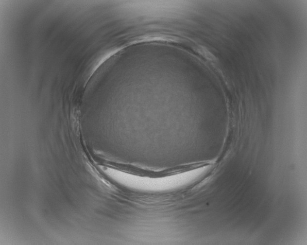 X0000078021369200611251519