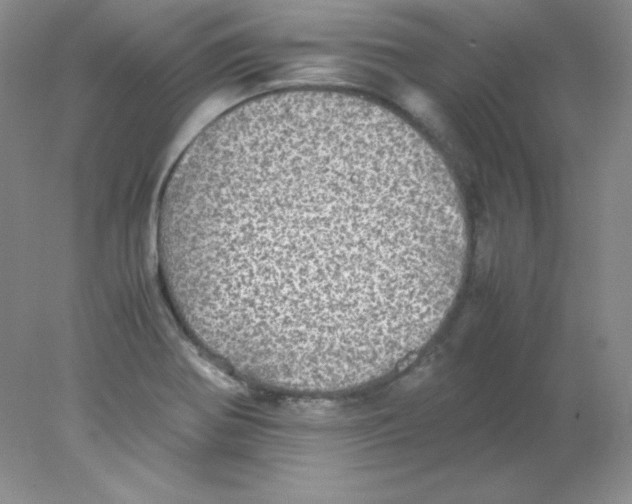 X0000078021370200611251519