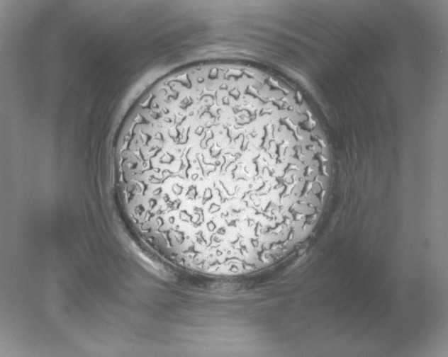 X0000078021371200611251519