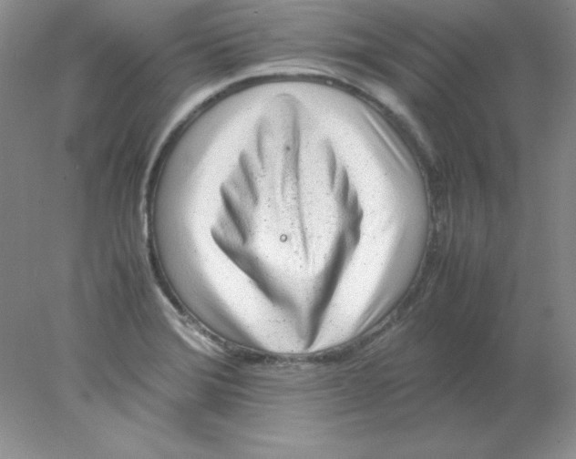 X0000078021372200611251518