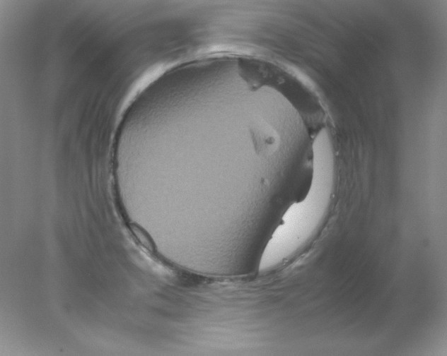 X0000078021373200611251518