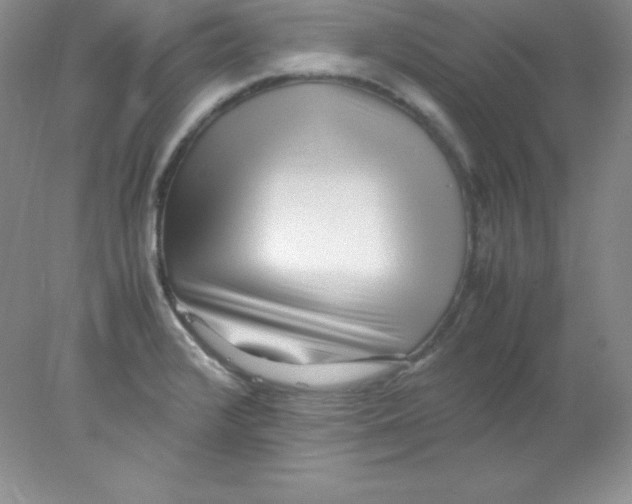 X0000078021376200611251518