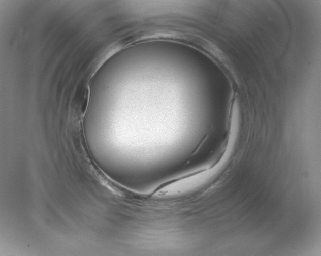 X0000078021377200611251518