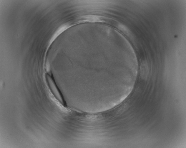 X0000078021378200611251518