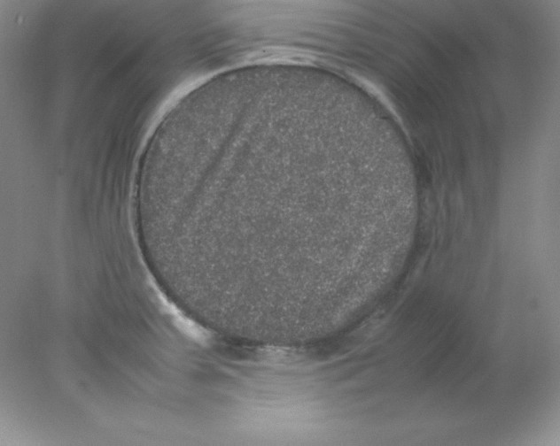 X0000078021379200611251518