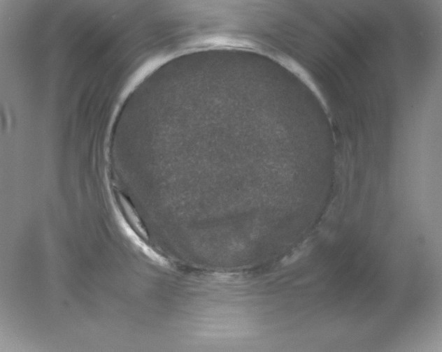 X0000078021381200611251518