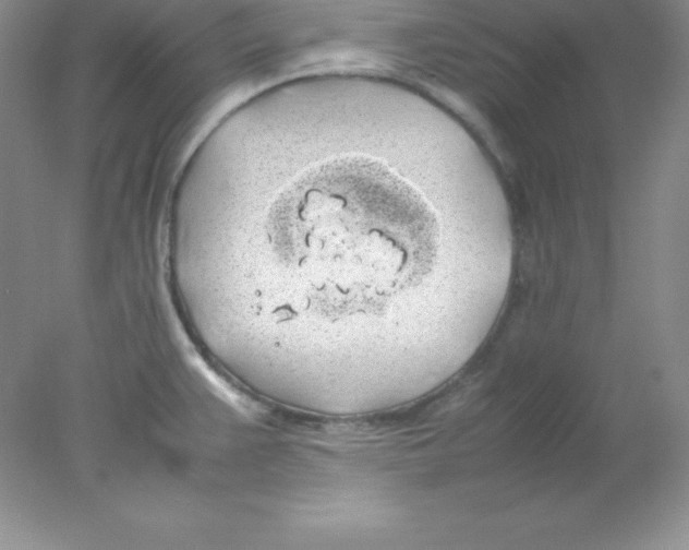 X0000078021383200611251518