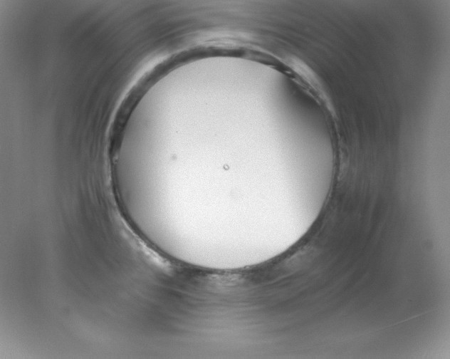 X0000078021384200611251518