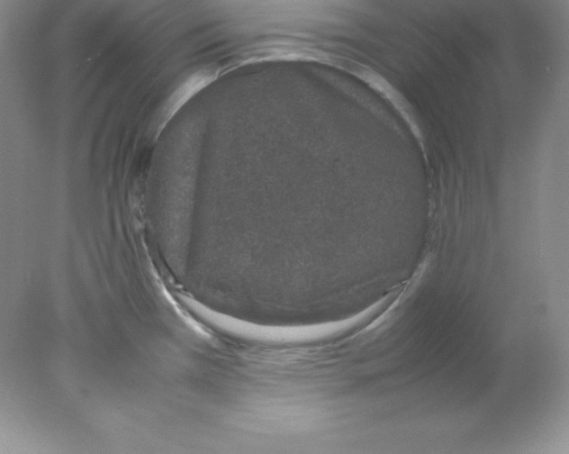 X0000078021385200611251518