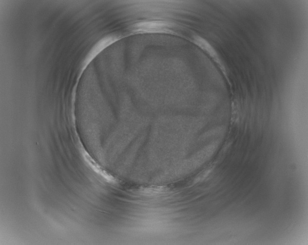 X0000078021386200611251518