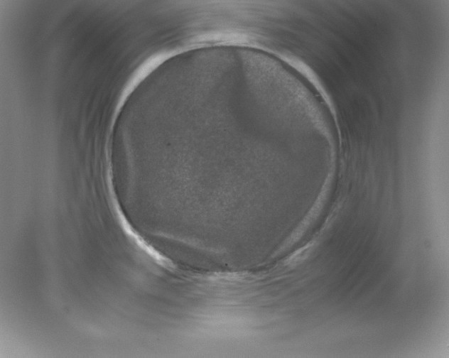 X0000078021389200611251518