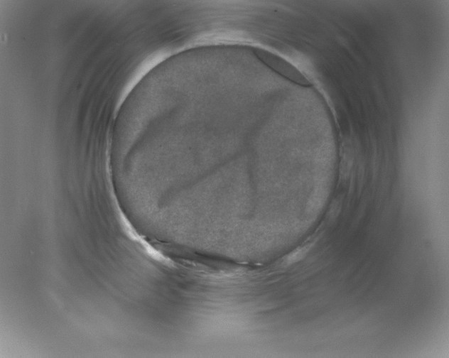 X0000078021390200611251518