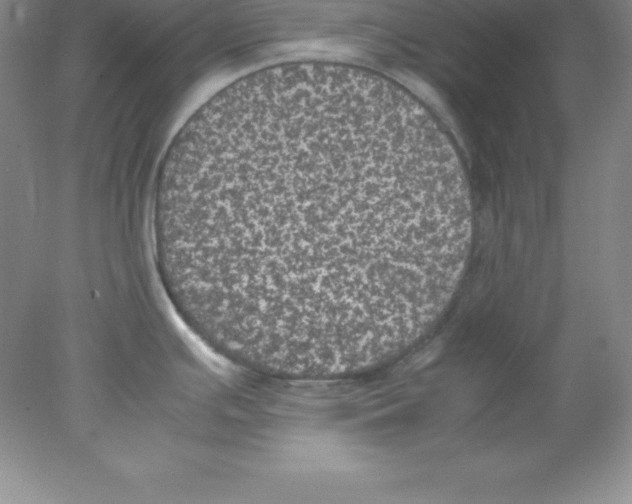 X0000078021391200611251518