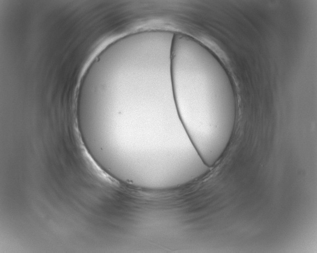 X0000078021392200611251518