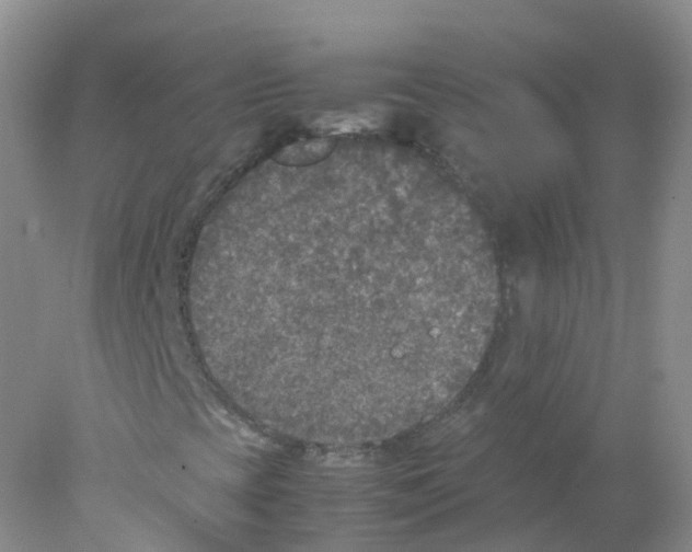 X0000078021393200611251517