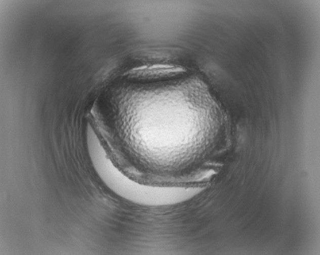 X0000078021394200611251517