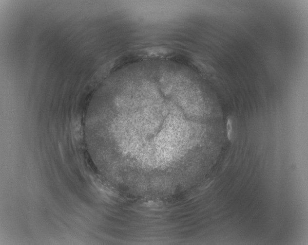 X0000078021395200611251517