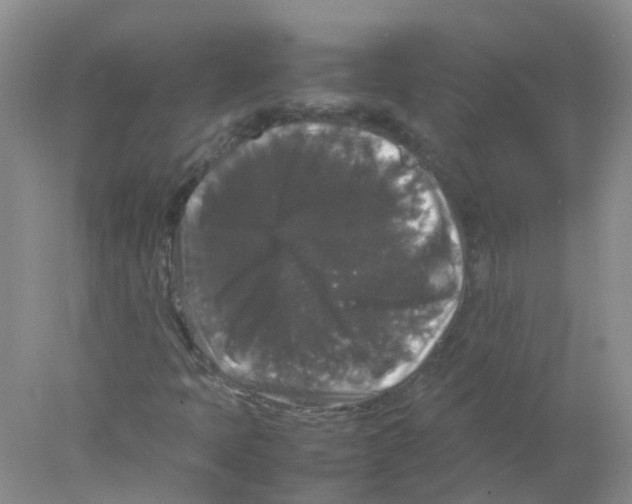 X0000078021397200611251517