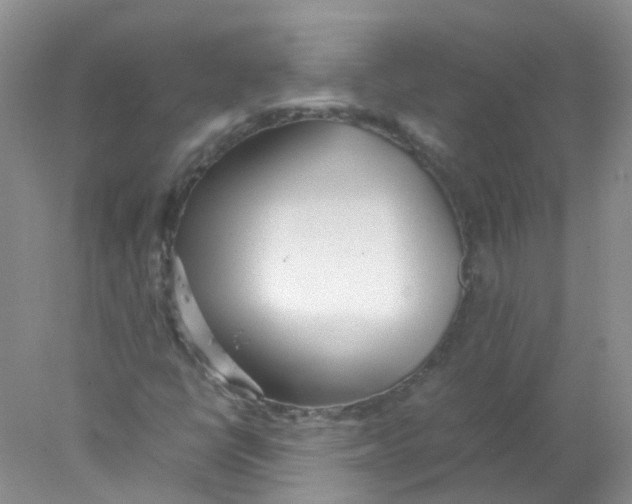 X0000078021398200611251517