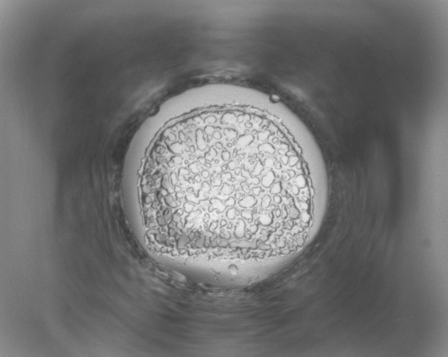 X0000078021399200611251517