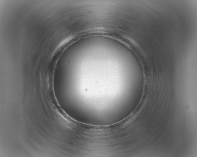 X0000078021402200611251518