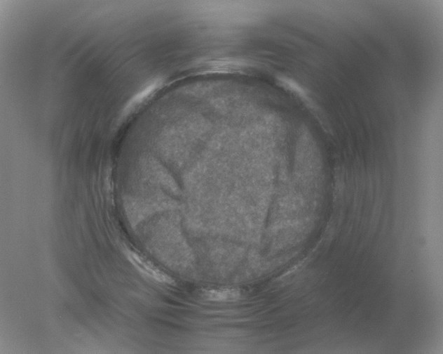 X0000078021403200611251518