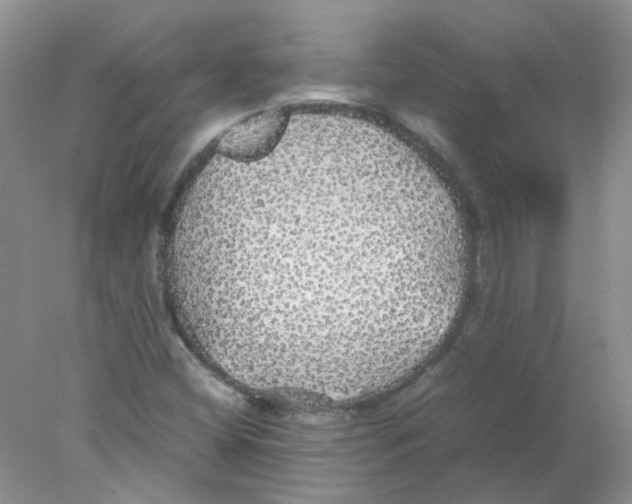 X0000078021404200611251518