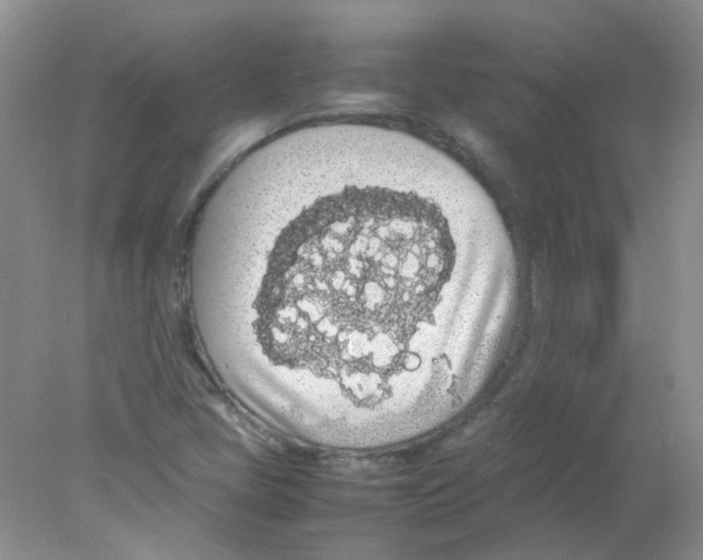 X0000078021405200611251518