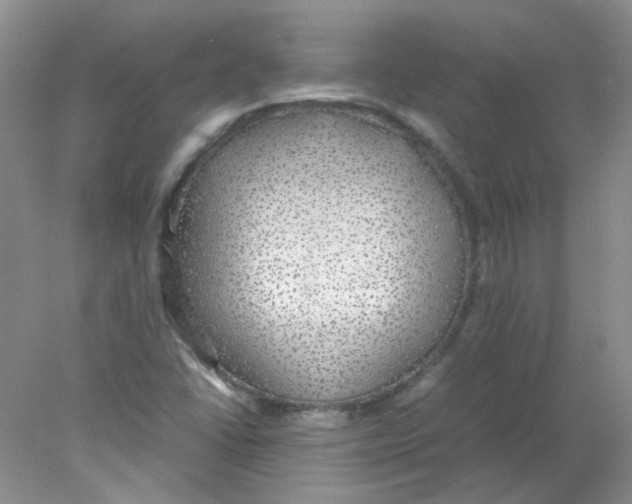 X0000078021406200611251518