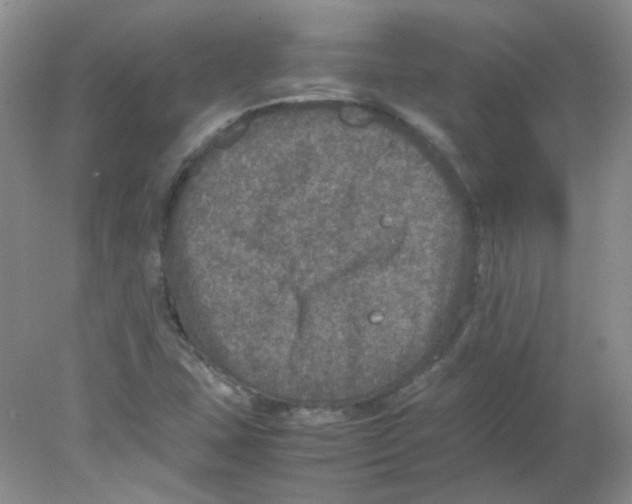 X0000078021407200611251518