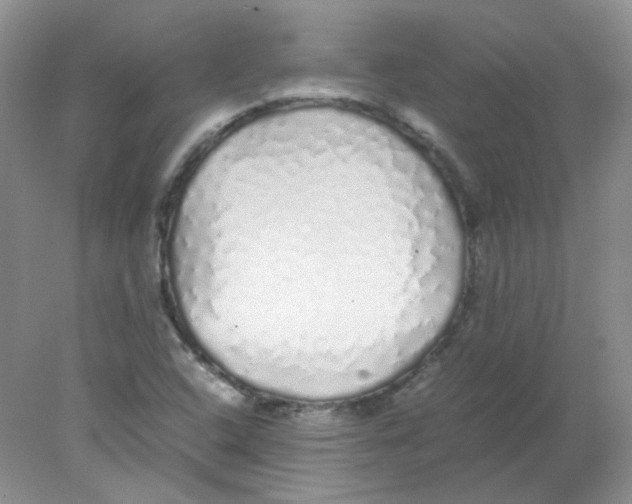 X0000078021408200611251518