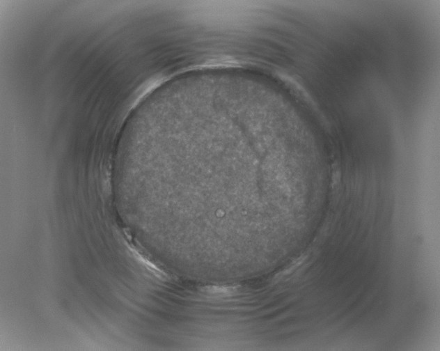 X0000078021409200611251518