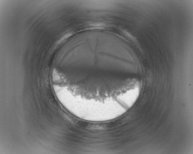 X0000078021411200611251518