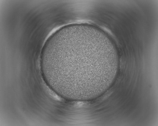 X0000078021412200611251518